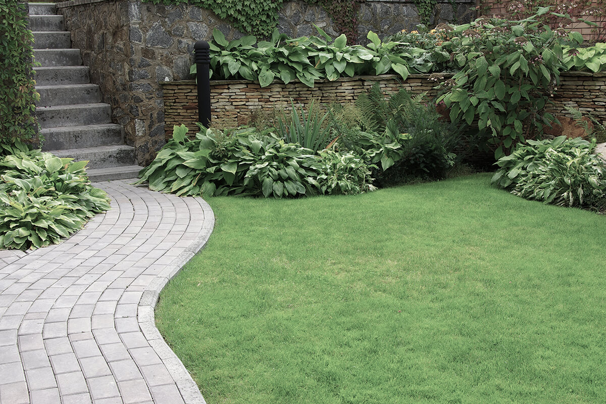 Welcome to B&B Landscaping